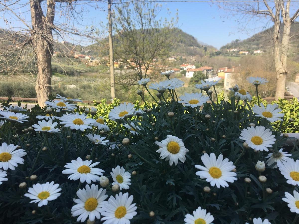 Belvedere Resort Ai Colli Galzignano Terme Exterior photo